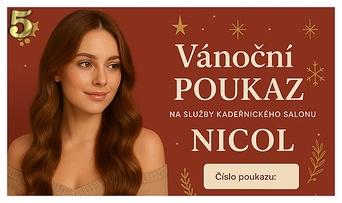 Vlasový dárkový poukaz Salon Nicol Plzeň
